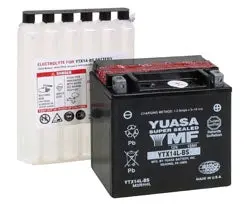 Battery Maintenance Free Agm 1