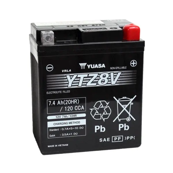 Battery Maintenance Free Agm Factory Activated 1