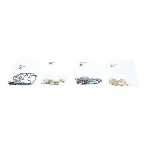Carburetor Repair Kit 1