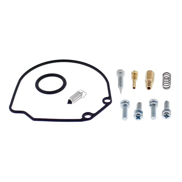 Carburetor Repair Kit 1