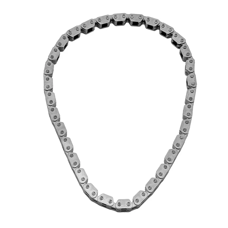 Cloyes Timing Chain 1