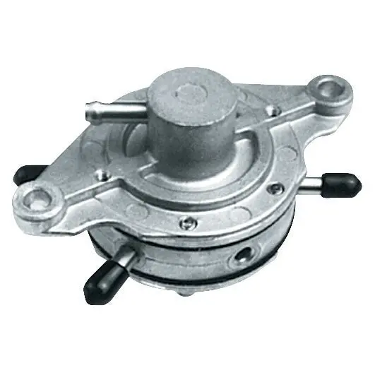 Double Fuel Pump 1