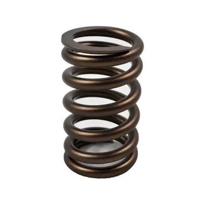 Pac 145# Rpm Series Valve Springs 1