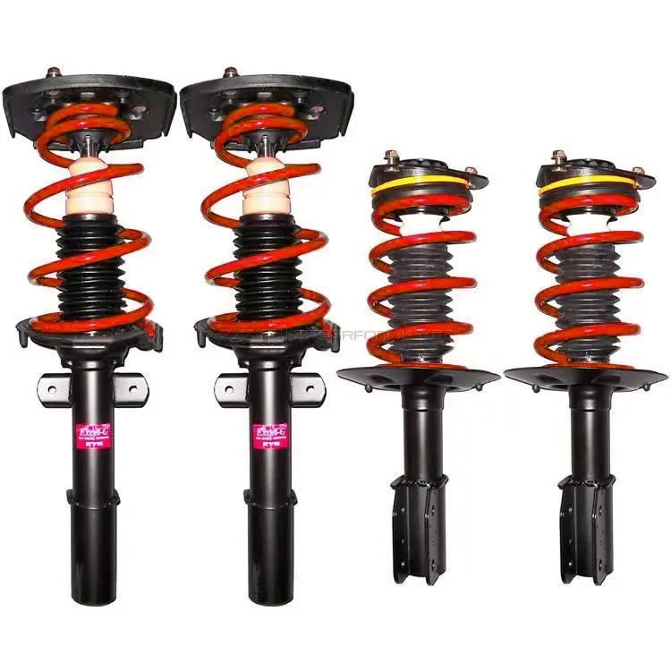 Performance Drop In Strut/Lowering Spring Combo 1