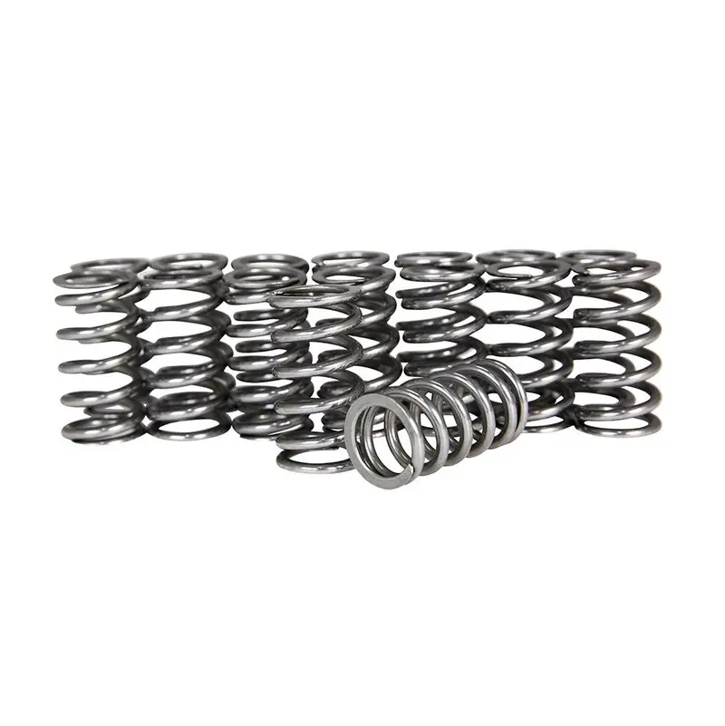 Zzp 1.4 Sonic/Cruze 72# Valve Springs 1